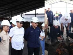 Danantara: Transformasi PalmCo Dinilai Perkuat Kemandirian Pangan dan Energi Nasional